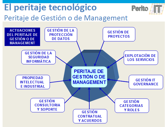 Desempeños peritaje de Gestion o Management