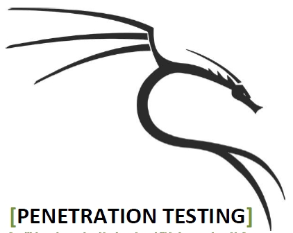 Penetration Testing