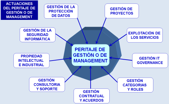 Esquema Peritaje de Gestion